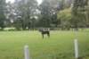 dsc02394_small.jpg