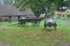 dsc02395_small.jpg