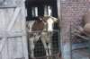 dsc02397_small.jpg