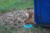 dsc02400_small.jpg
