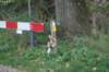 dsc02402_small.jpg