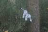 dsc02403_small.jpg