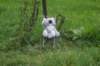 dsc02405_small.jpg