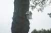 dsc02406_small.jpg
