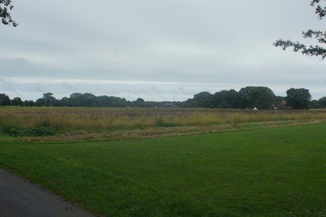 dsc02409.jpg