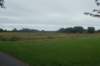 dsc02409_small.jpg