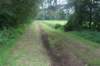 dsc02410_small.jpg