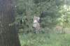 dsc02413_small.jpg