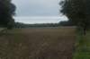 dsc02415_small.jpg