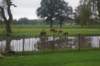 dsc02584_small.jpg