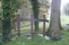 dsc02589_small.jpg