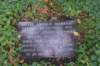 dsc02590_small.jpg