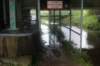 dsc02598_small.jpg