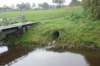 dsc02599_small.jpg