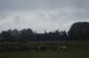 dsc02601_small.jpg