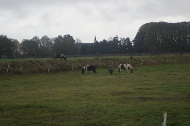dsc02602.jpg