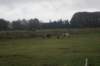 dsc02602_small.jpg