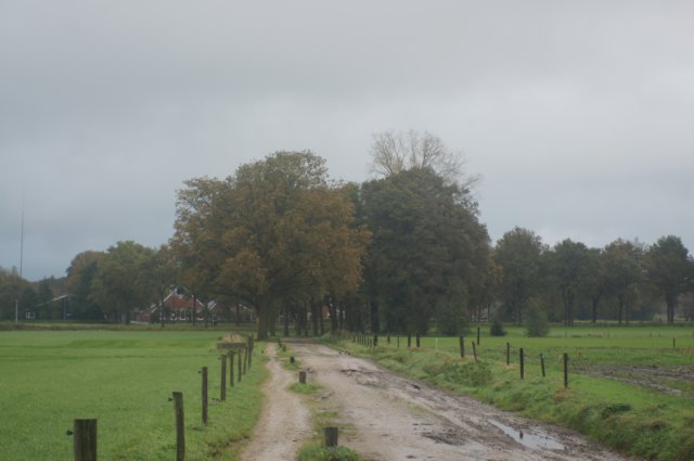 dsc02606.jpg