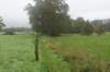 dsc02610_small.jpg