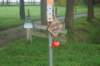 dsc02612_small.jpg