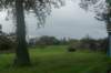 dsc02613_small.jpg