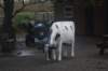 dsc02616_small.jpg