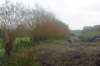 dsc02619_small.jpg