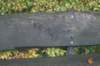dsc02623_small.jpg
