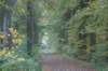 dsc02627_small.jpg