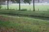 dsc02628_small.jpg