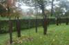 dsc02631_small.jpg