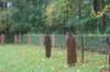 dsc02634_small.jpg