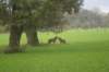dsc02643_small.jpg