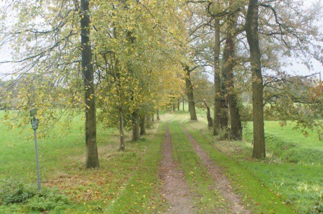 dsc02644.jpg