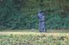 dsc02651_small.jpg