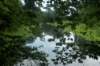 dsc01517_small.jpg