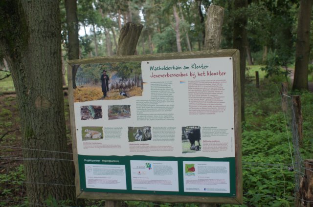 dsc01521.jpg