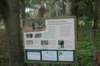 dsc01521_small.jpg