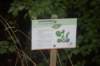 dsc01525_small.jpg