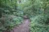dsc01526_small.jpg