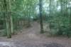 dsc01527_small.jpg