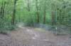 dsc01528_small.jpg