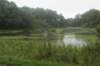 dsc01529_small.jpg