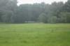 dsc01534_small.jpg