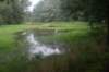 dsc01538_small.jpg