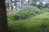 dsc01539_small.jpg