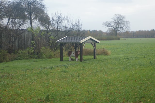 dsc02840.jpg