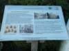 dscn0180_small.jpg