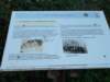 dscn0182_small.jpg