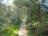 dscn0184_small.jpg
